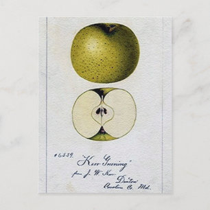 Apple Recipe Card Briefkaart