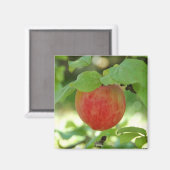 Apple Red Annanas - magneet (Voorkant / Achterkant)