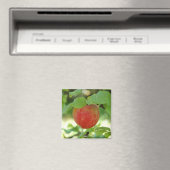 Apple Red Annanas - magneet (Insitu (Vaatwasser))