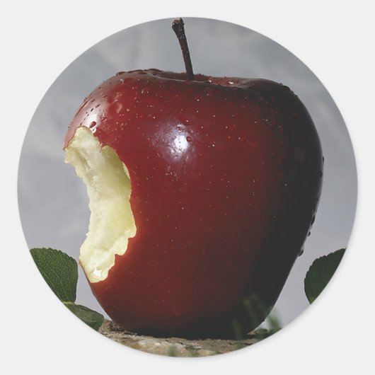 Apple Ronde Sticker (Voorkant)