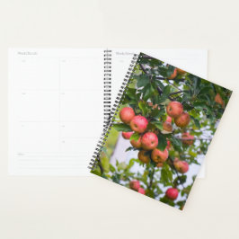 Apple Sauce Kalender Planner