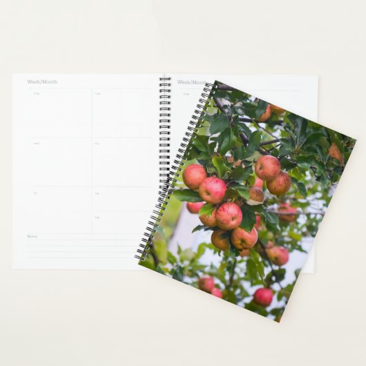 Apple Sauce Kalender Planner (Display)