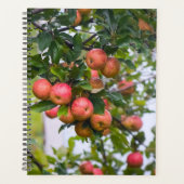 Apple Sauce Kalender Planner (Voorkant)