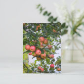 Apple Sauce Recept Briefkaart (Staand voorkant)