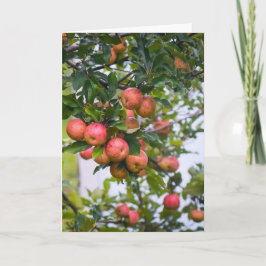 Apple Sauce Recept Feestdagen Kaart