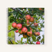 Apple Sauce Recept Notitieboek (Voorkant)