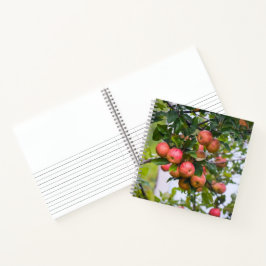 Apple Sauce Recept Notitieboek