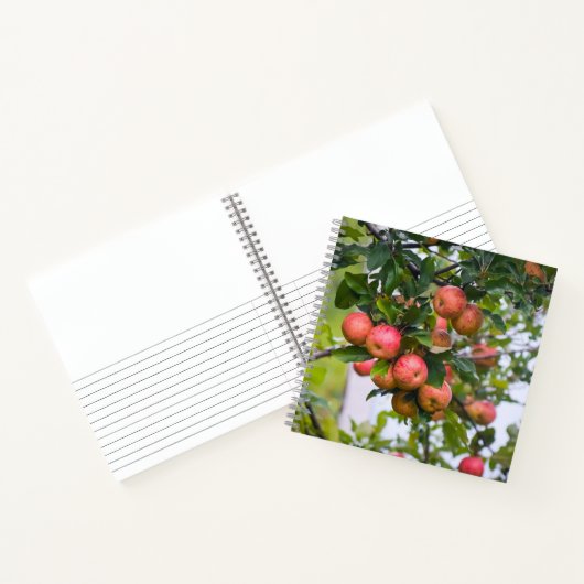 Apple Sauce Recept Notitieboek (Binnen)