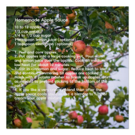 Apple Sauce Recept Perfect Poster