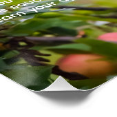 Apple Sauce Recept Perfect Poster (Hoek)