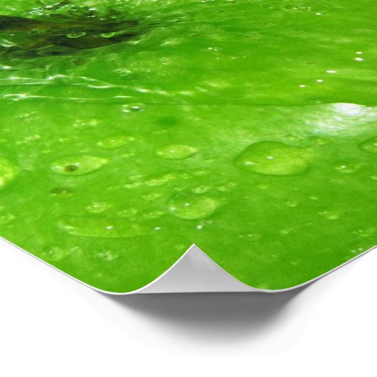 Apple Splash Poster (Hoek)