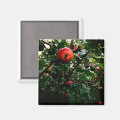 Apple-structuur Magneet (Voorkant / Achterkant)