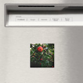Apple-structuur Magneet (Insitu (Vaatwasser))