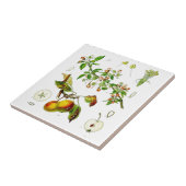 Apple Tegeltje (Zijkant)