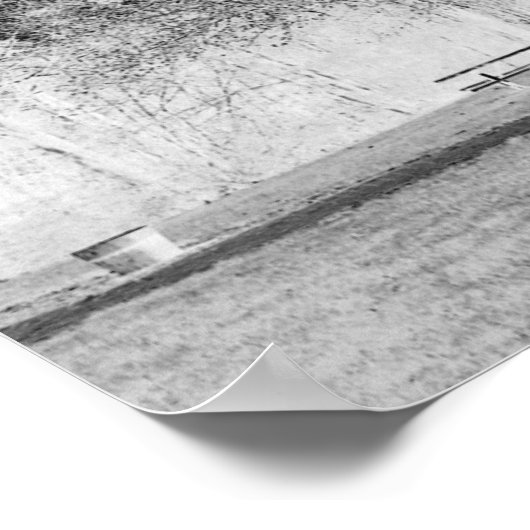Apple Tree - B&W Poster (Hoek)