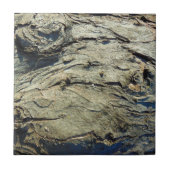 Apple Tree Bark Texture Tegeltje (Voorkant)