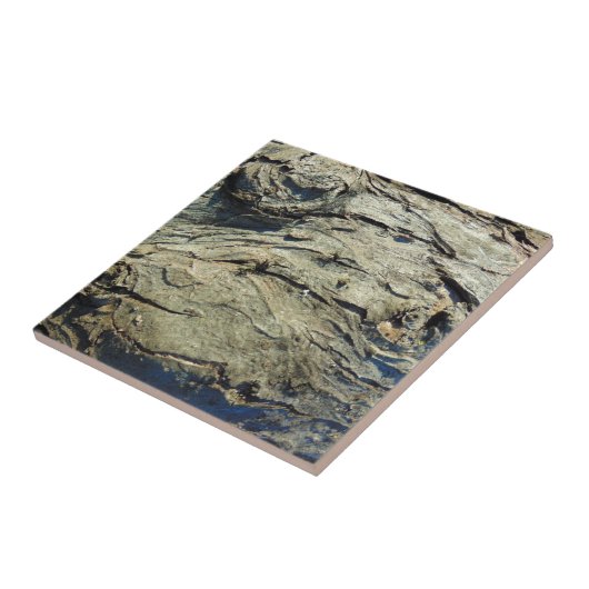 Apple Tree Bark Texture Tegeltje (Zijkant)