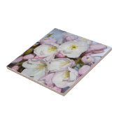 Apple Tree-bloemen op een blauwe hemel Tegeltje (Zijkant)