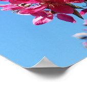 Apple tree blooming. Roze bloemen. Poster (Hoek)