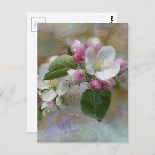 Apple Tree Blossom Briefkaart (Voorkant / Achterkant)