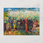 Apple Tree Blossom Briefkaart (Voorkant)