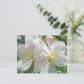 Apple Tree Blossom Flowers briefkaarten Spring Flo (Staand voorkant)
