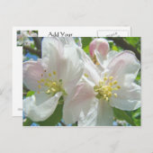 Apple Tree Blossom Flowers briefkaarten Spring Flo (Voorkant / Achterkant)