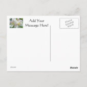 Apple Tree Blossom Flowers briefkaarten Spring Flo (Achterkant)