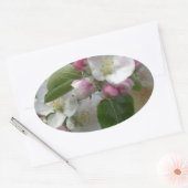 Apple Tree Blossom Ovale Sticker (Envelop)