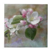 Apple Tree Blossom Tegeltje (Voorkant)