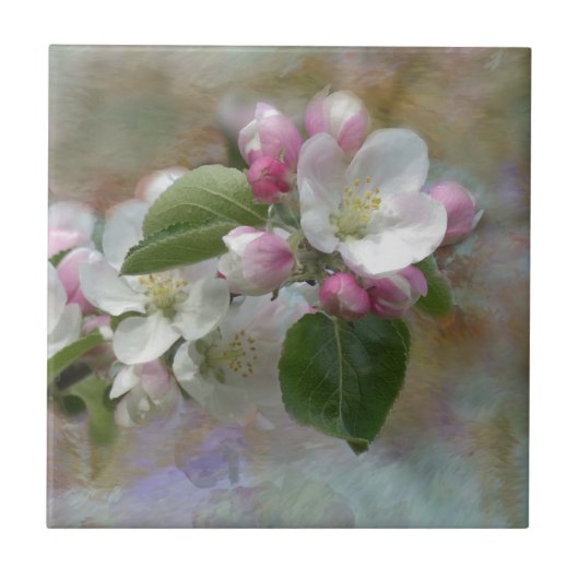 Apple Tree Blossom Tegeltje (Voorkant)