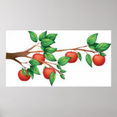 Apple Tree Branch Poster (Voorkant)