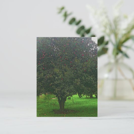 Apple Tree Briefkaart (Staand voorkant)