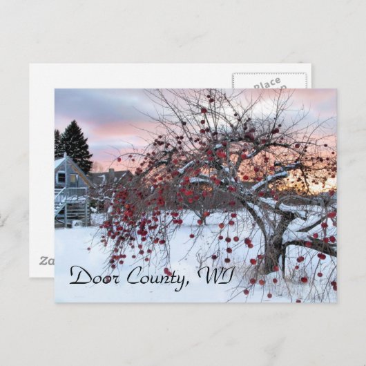 Apple Tree Briefkaart (Voorkant / Achterkant)