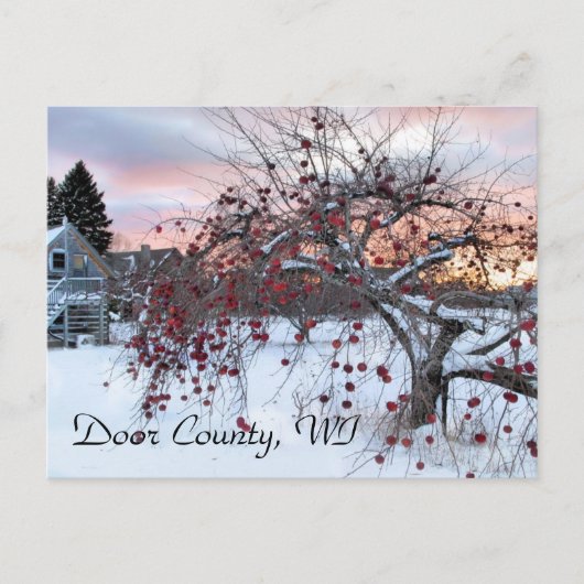 Apple Tree Briefkaart (Voorkant)