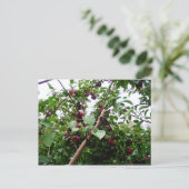 Apple Tree Briefkaart (Staand voorkant)