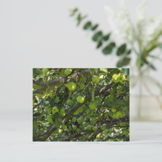 Apple Tree Briefkaart (Staand voorkant)
