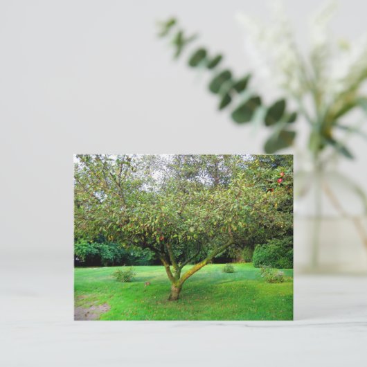 Apple Tree Briefkaart (Staand voorkant)