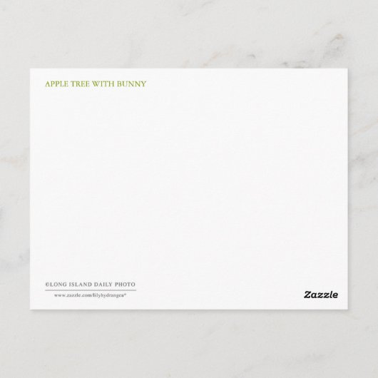 Apple Tree Briefkaart (Achterkant)