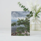 Apple Tree en Stormy Day op het meer Briefkaart (Staand voorkant)