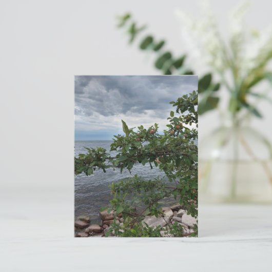 Apple Tree en Stormy Day op het meer Briefkaart (Staand voorkant)