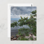 Apple Tree en Stormy Day op het meer Briefkaart (Voorkant / Achterkant)
