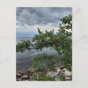 Apple Tree en Stormy Day op het meer Briefkaart