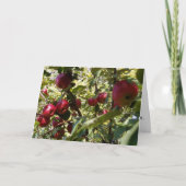 "Apple Tree" Gefeliciteerd Kaart (Voorkant)