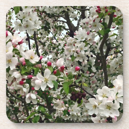 Apple Tree in Bloom Bier Onderzetter (Voorkant)