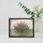 Apple Tree in Bloom Briefkaart (Staand voorkant)