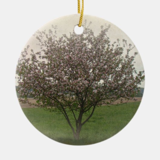 Apple Tree in Bloom Keramisch Ornament (Voorkant)