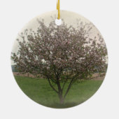 Apple Tree in Bloom Keramisch Ornament (Achterkant)