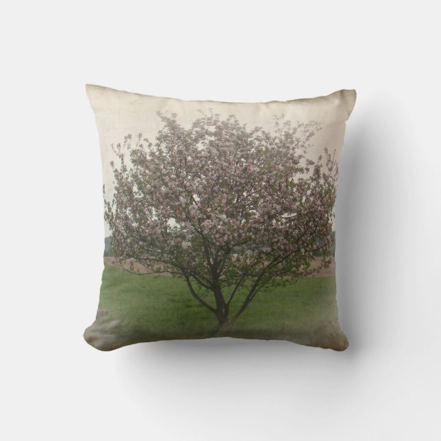 Apple Tree in Bloom Kussen (Voorkant)