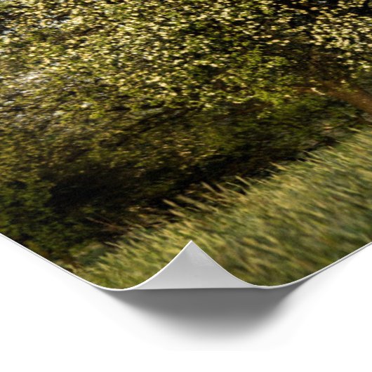 Apple tree in bloom poster (Hoek)